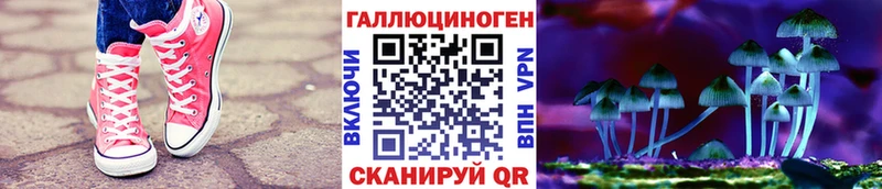 мориарти телеграм  Свирск  Галлюциногенные грибы прущие грибы 